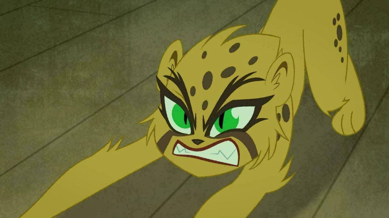 #Face à face avec Cheetah